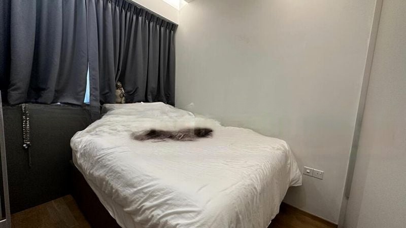 BOTANIQUE AT BARTLEY 7