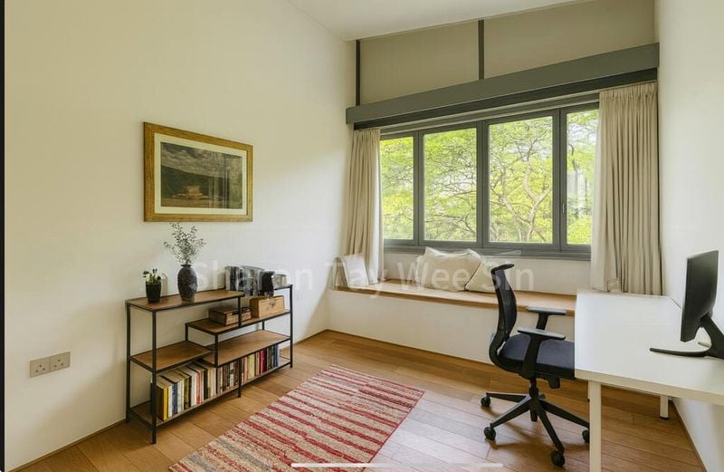 THE HOLLAND COLLECTION 15