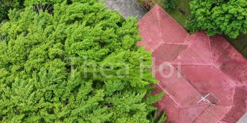 TANGLIN HILL CONDOMINIUM 5