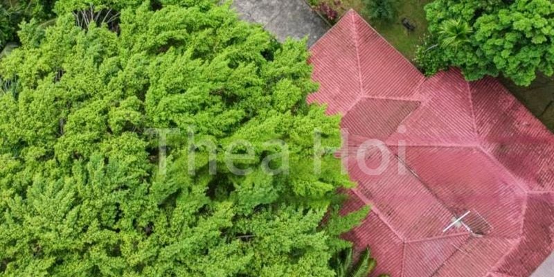 TANGLIN HILL CONDOMINIUM 11