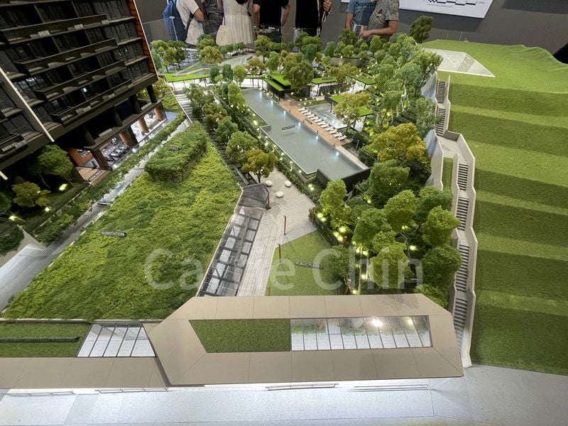 BLOSSOMS BY THE PARK 10