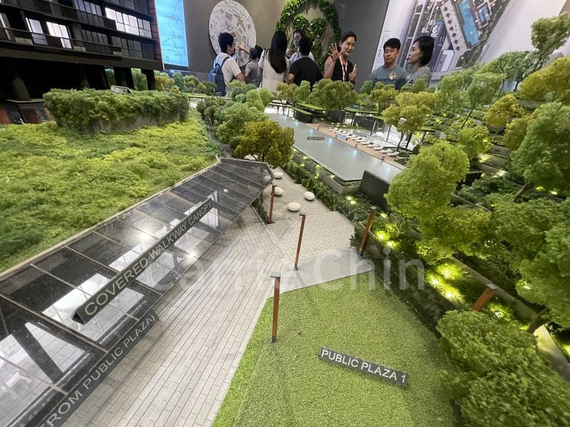 BLOSSOMS BY THE PARK 11