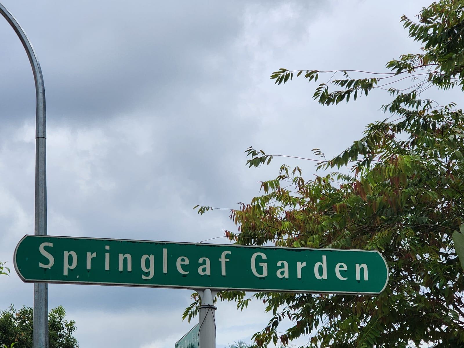 SPRINGLEAF GARDEN 6