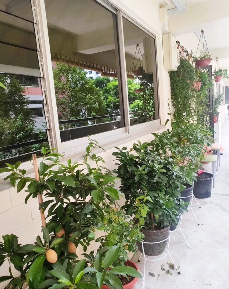 JURONG WEST AVE 5 36