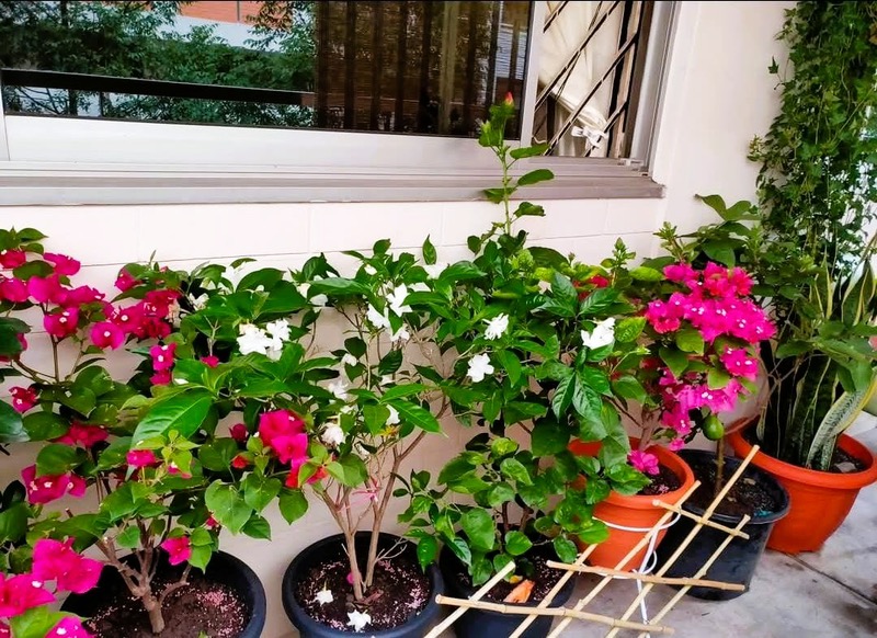 JURONG WEST AVE 5 39