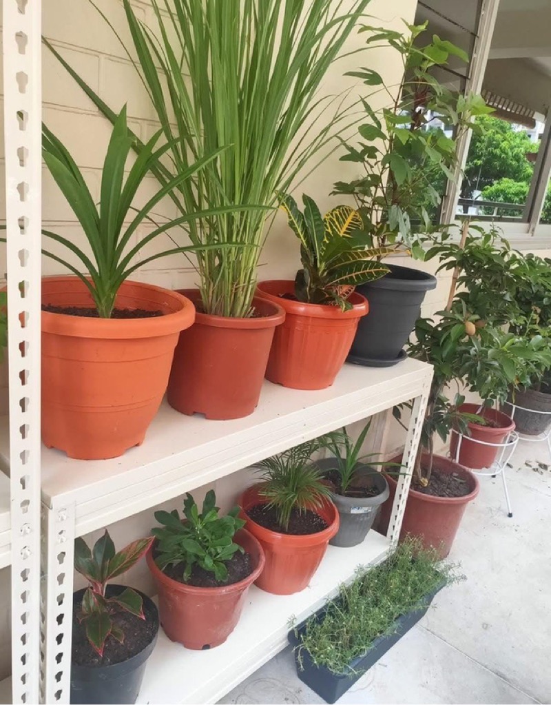 JURONG WEST AVE 5 42