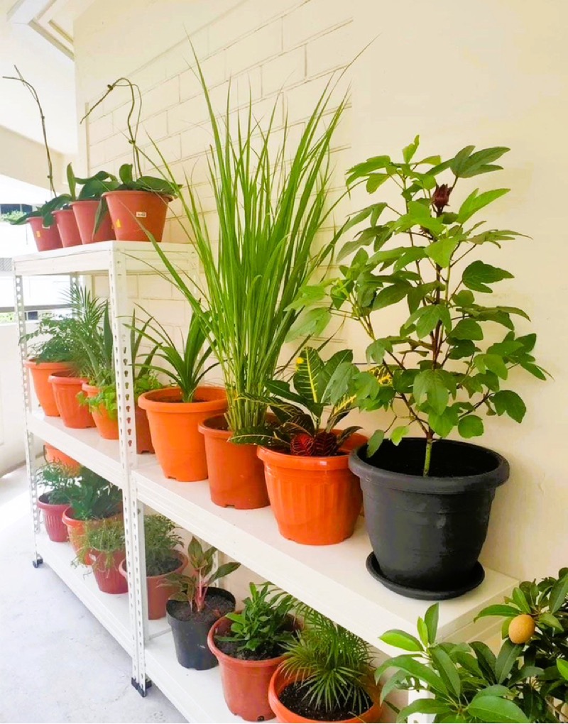 JURONG WEST AVE 5 44