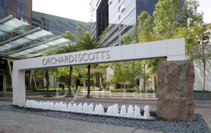 ORCHARD SCOTTS 11