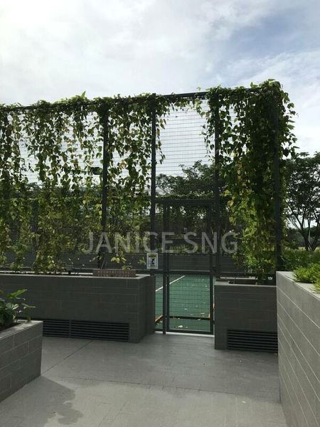 THE ALPS RESIDENCES 7