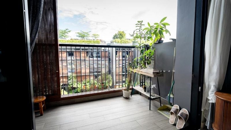 DAINTREE RESIDENCE 14