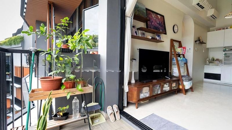 DAINTREE RESIDENCE 13