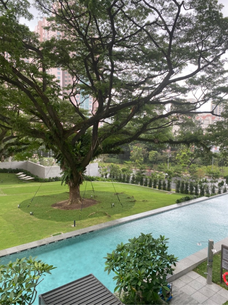 IRWELL HILL RESIDENCES 11