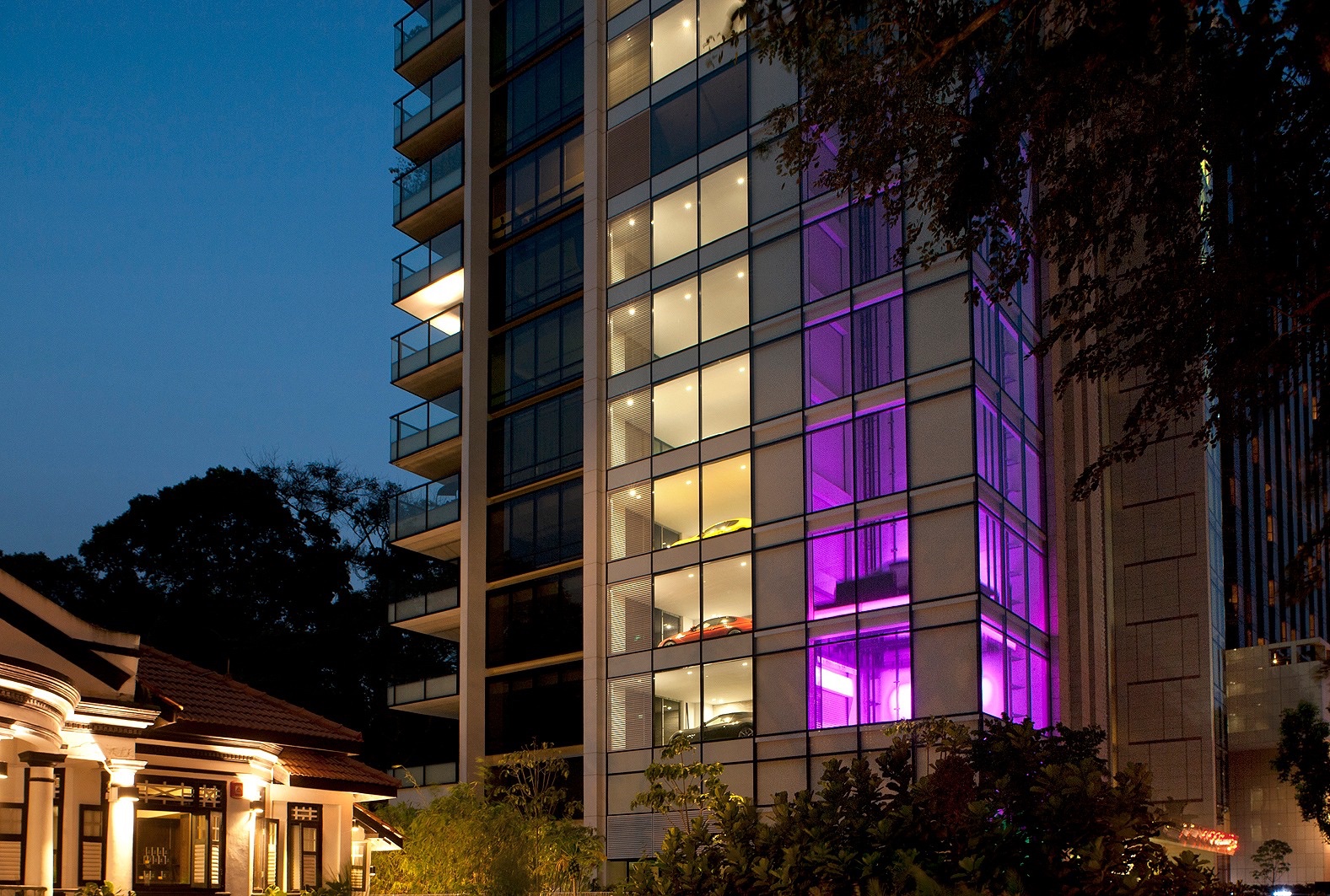 REIGNWOOD HAMILTON SCOTTS 6