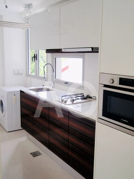 THE FORD @ HOLLAND 3