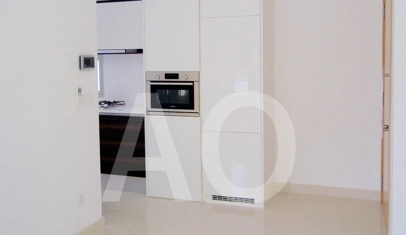 THE FORD @ HOLLAND 4