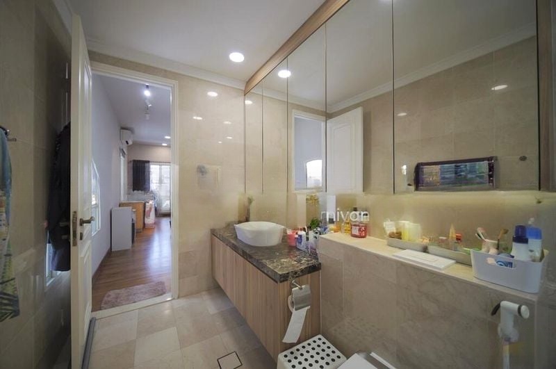 HOLLAND GROVE 6