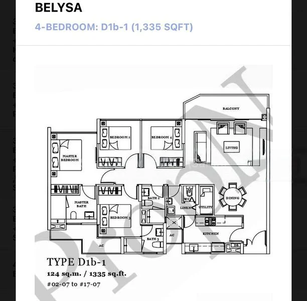 BELYSA 6