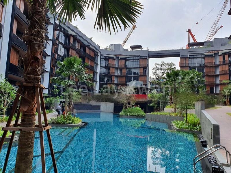 DAINTREE RESIDENCE 13