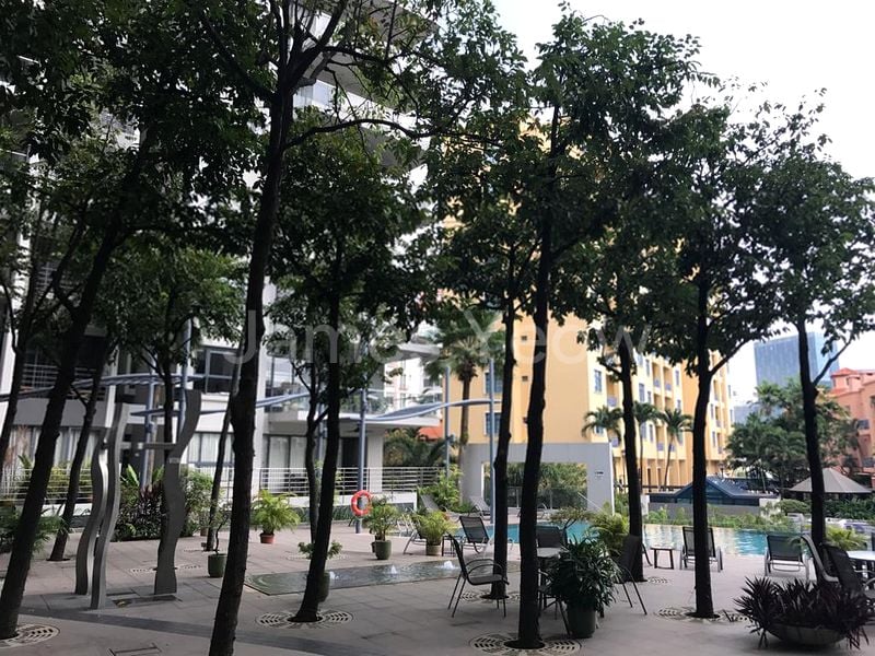 THE PIER AT ROBERTSON 12