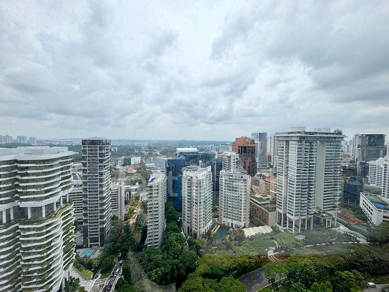 TOMLINSON HEIGHTS 12