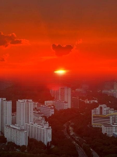 AVENUE SOUTH RESIDENCE 5