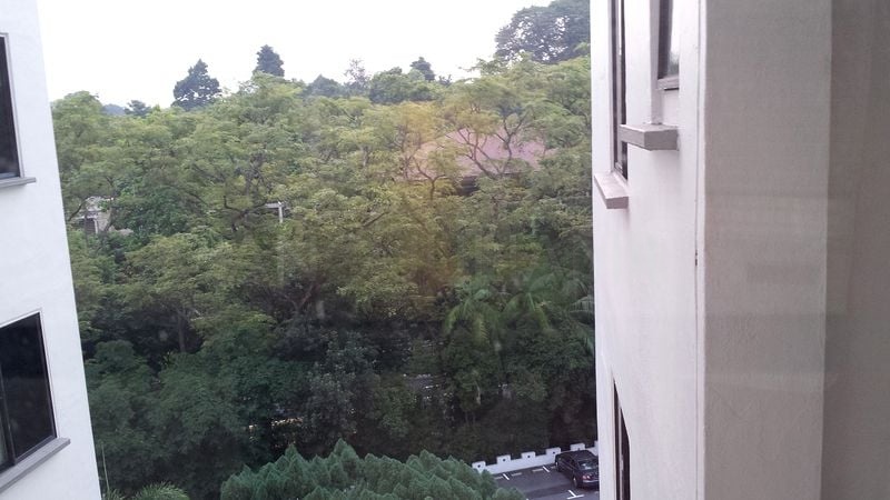BOTANIC GARDENS VIEW 15