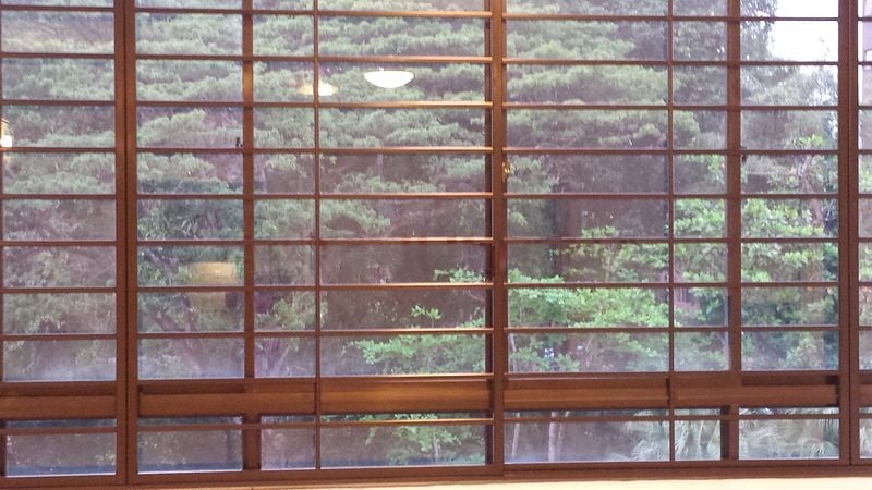 BOTANIC GARDENS VIEW 13