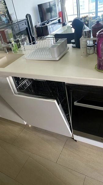 THE LINCOLN RESIDENCES 10