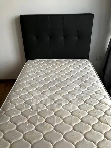 THE CLEMENT CANOPY 9