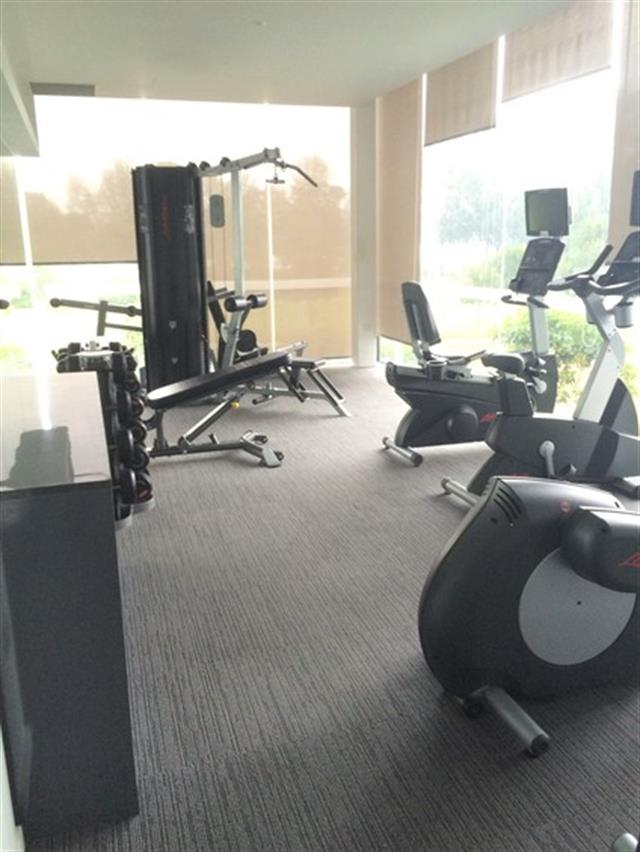 THE LAKEFRONT RESIDENCES 25