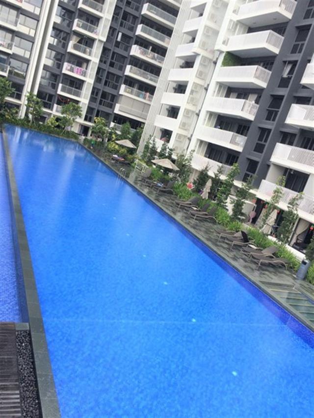 THE LAKEFRONT RESIDENCES 49