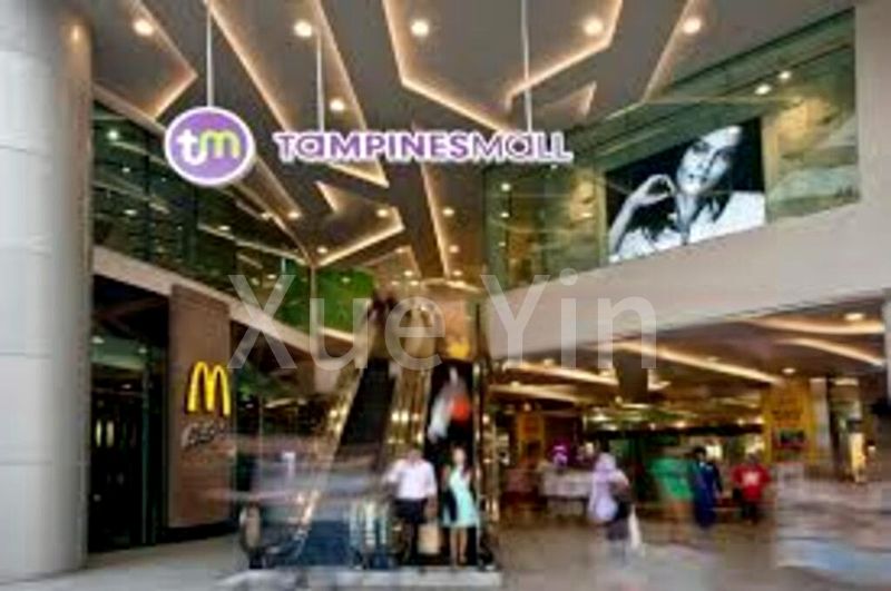 THE EDEN AT TAMPINES 10