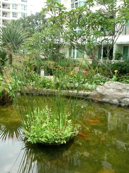 EDELWEISS PARK CONDOMINIUM 2