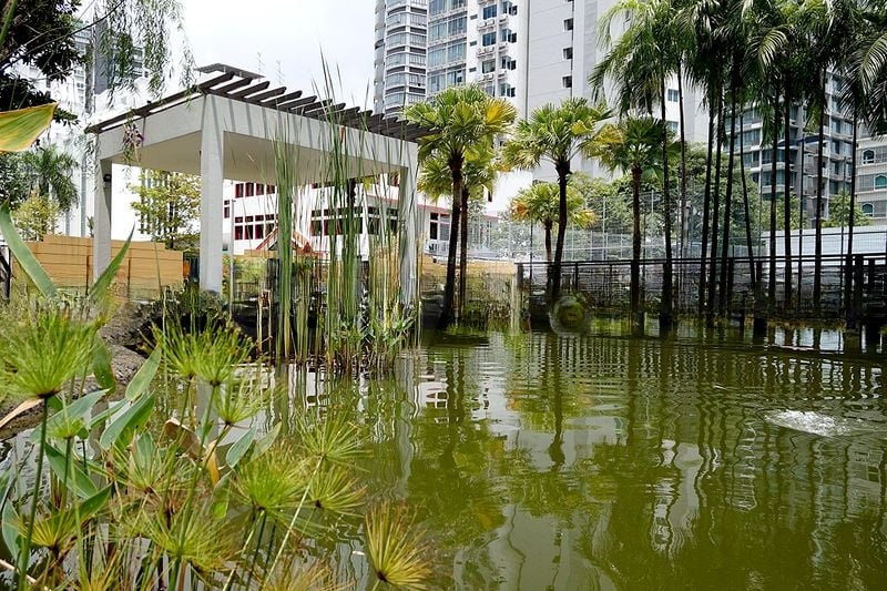 PARK INFINIA AT WEE NAM 15