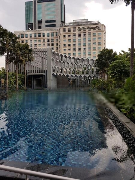 DUO RESIDENCES 10