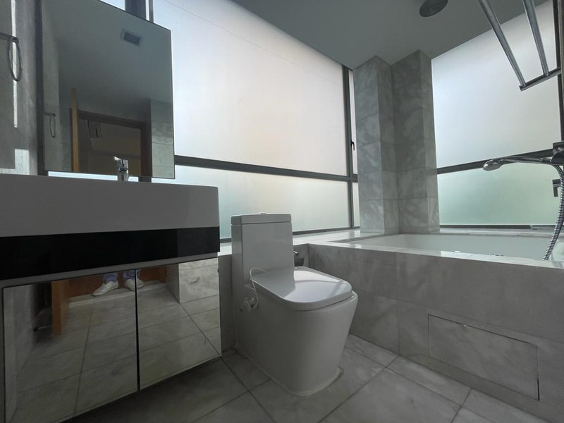 ANGULLIA PARK RESIDENCES @ ORCHARD 17