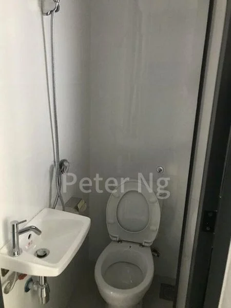 THE CLEMENT CANOPY 15