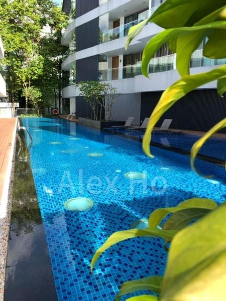 THE HOLLAND COLLECTION 4