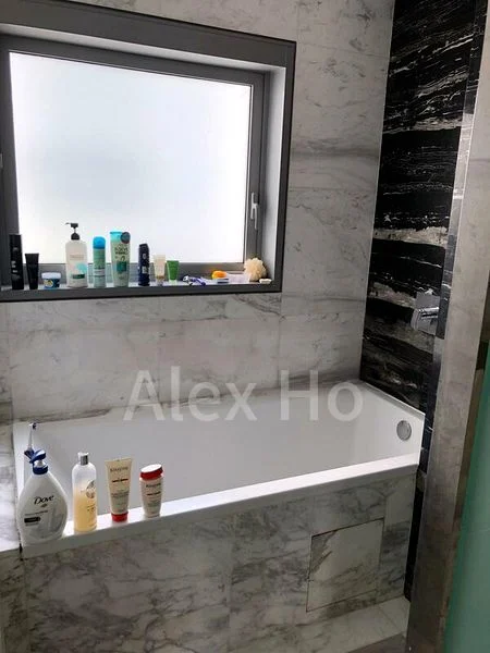 THE HOLLAND COLLECTION 5