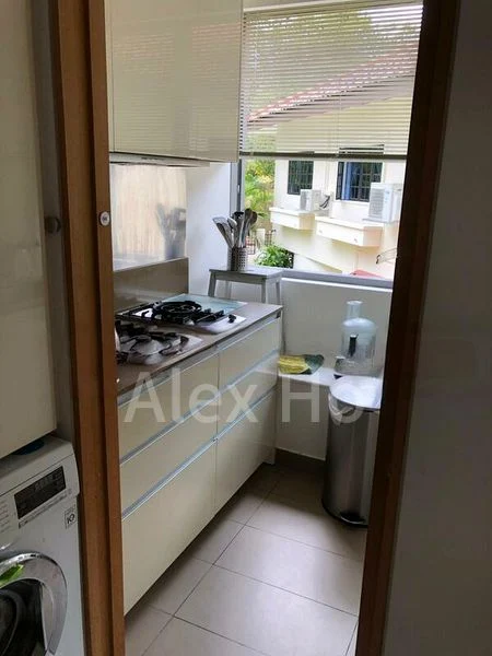 THE HOLLAND COLLECTION 7