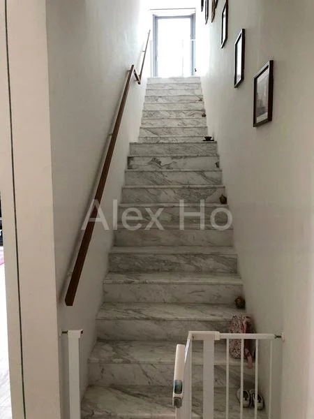 THE HOLLAND COLLECTION 9