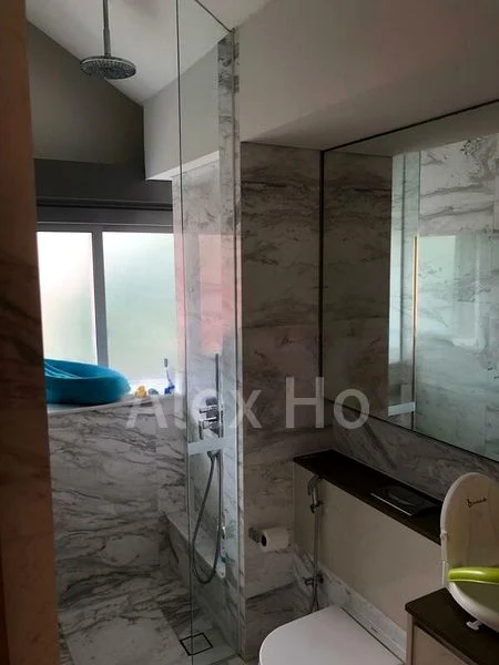 THE HOLLAND COLLECTION 10