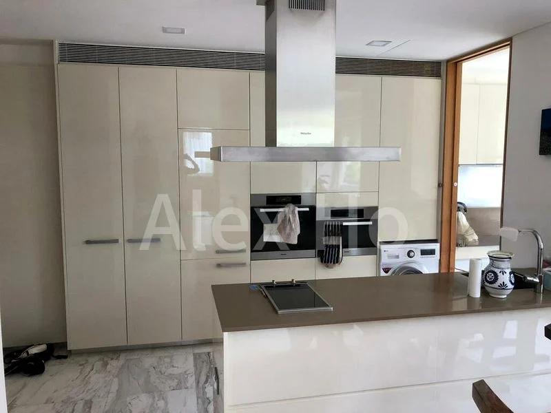 THE HOLLAND COLLECTION 13