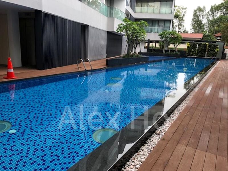 THE HOLLAND COLLECTION 14