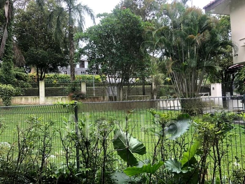 THE HOLLAND COLLECTION 15