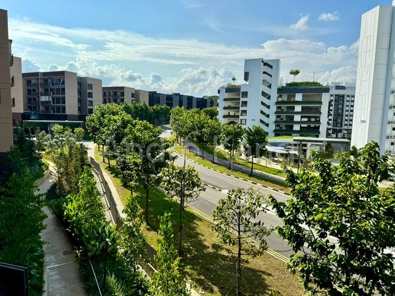 THE WATERGARDENS AT CANBERRA 15