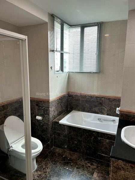 THOMSON EURO-ASIA 13