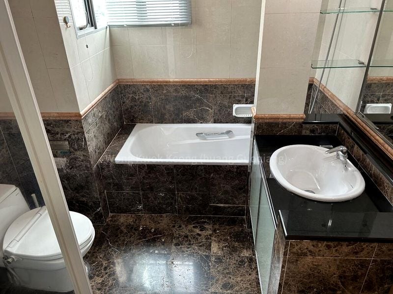 THOMSON EURO-ASIA 14