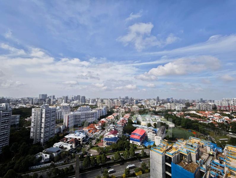 THE CLEMENT CANOPY 6