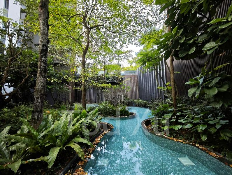 THE CLEMENT CANOPY 11